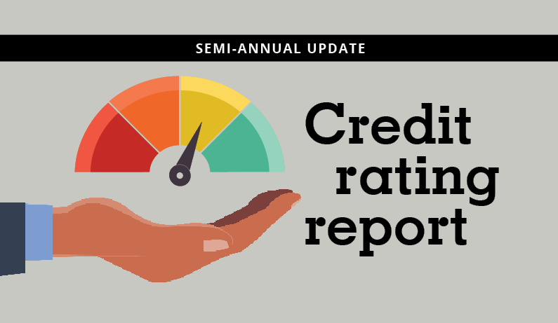Semi-Annual Credit Rating Report